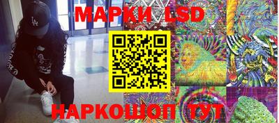 СК Новозыбков
