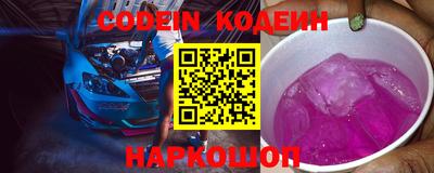 СК Новозыбков