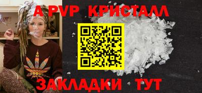 СК Новозыбков