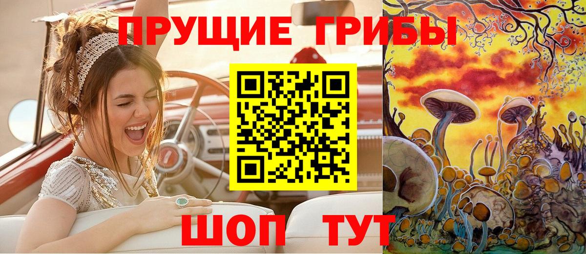 Галлюциногенные грибы Psilocybine cubensis Астрахань